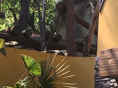 -海底捞火锅(亲子主题北金鹰店)