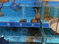 -喜来酌海鲜·饺子(和平一店)
