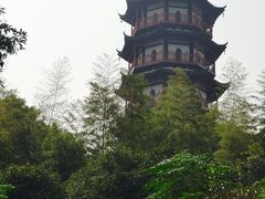 -绳金塔