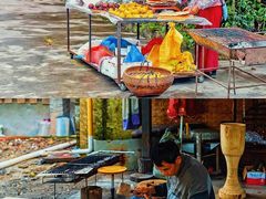 -西双版纳傣族园
