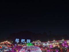 -枇杷园食为鲜火锅(南山店)