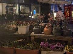 -瓦库茶馆17号(海汇港店)