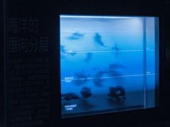 -同济大学四平路校区深海探索馆