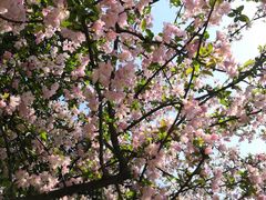 -环城公园-琥珀潭