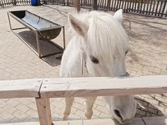 -水上乐园·欢乐世界