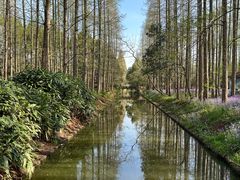 -东平国家森林公园