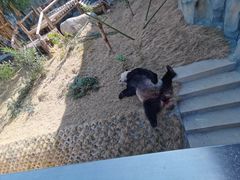 -泉州海丝野生动物世界