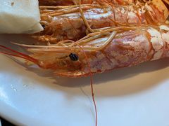 -星伦多 自助料理(圆融店)