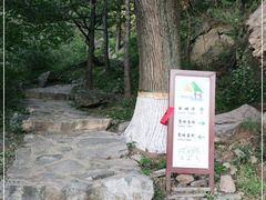 -北京鹫峰国家森林公园