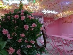 -pink baby·新晋网红打卡地