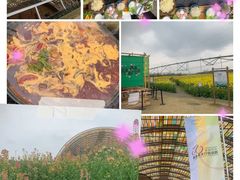 -中国天府农业博览园