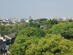 -顽啤熊·酒客酒馆(苏城夜景必选店)