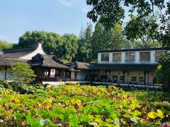 -上海醉白池公园