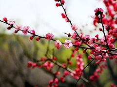 -颐和园