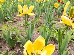 -长春公园(普阳街道)