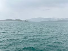 -河源万绿湖美思威尔顿酒店