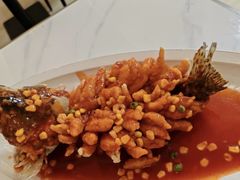 -大鸿运酒店·苏州菜·松鼠桂鱼(观前街店)