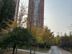 -仰生如卉推拿养生馆(酒仙桥店)
