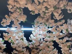 -山西派(桥东街店)