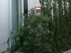 -Sala Daeng按摩街