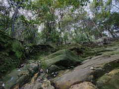 -南山植物园