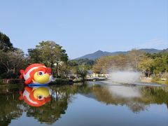 -碧水湾温泉