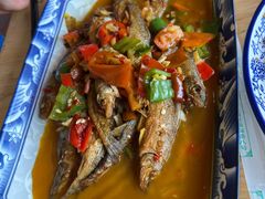 瑶河小鱼-瑶河山里菜