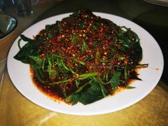 凉拌苕尖-春涛餐馆(下坝店)