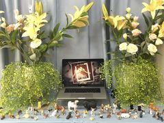 -彩虹桥宠物火化殡葬善终服务(金乐大厦店)