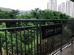 -亚龙湾站