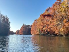 -上海海湾国家森林公园