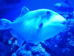 -成都浩海立方海洋公园