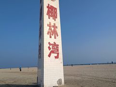-东郊椰林