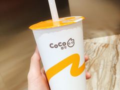 -CoCo都可(卓展店)