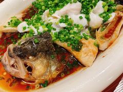 清蒸鲈鱼-粤食堂(天津和悦汇店)