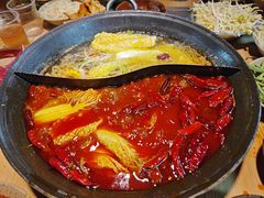 -阳阳老火锅(小南门店)