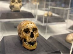 -北京周口店北京人遗址博物馆