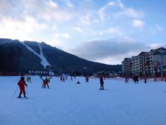 -亚布力新体委滑雪场
