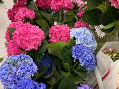 -Olé精品超市(广州太古汇店)