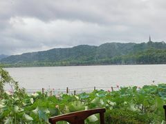 一楼包厢-湖畔居茶楼(湖滨店)