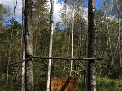 -五营红松林海景区