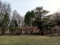 -元大都城垣遗址公园