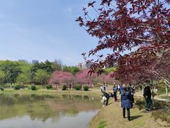 -堤角公园