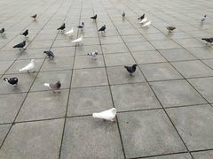 -星海广场
