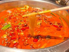-宽口美蛙鱼头(大唐西市店)
