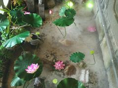 -老宁波1381餐厅(宏泰广场店)