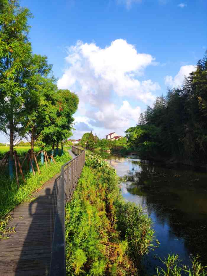 海沈村-"在抖音短视频看到有推荐南汇惠南镇海沈村,."-大众点评移动版