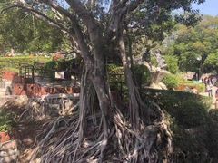 -胡里山炮台