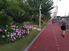 -北外滩滨江绿地