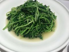 清炒鸡毛菜-八府香鸭·啫啫煲(华山路店)